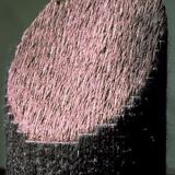 "SJU ANDROGYNER (DETALJ)"